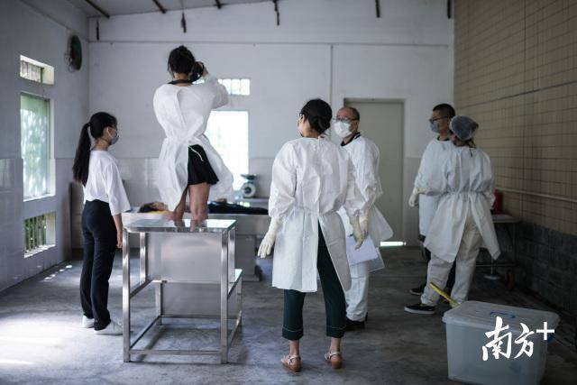 【南方 】女法医岳霞:用解剖刀与尸体交谈,让真相不因